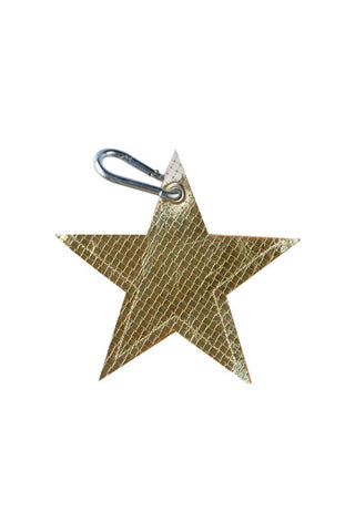 Image of the Gold Star Dog Poo Bag Pouch on a white background