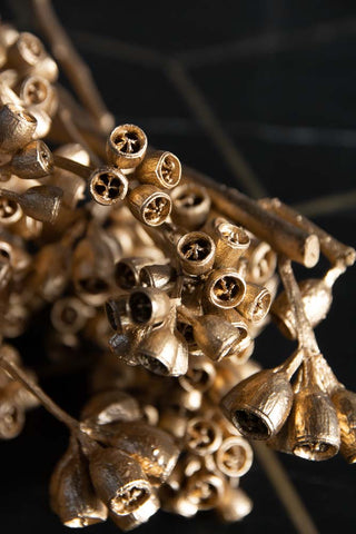 Close-up image of the tips of the Gorgeous Gold Dried Mini Seed Pods