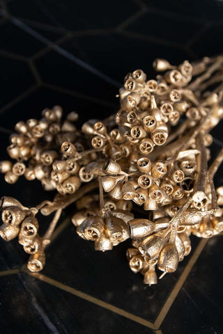 Image of the tips of the Gorgeous Gold Dried Mini Seed Pods