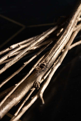 Image of the stems of the Gorgeous Gold Dried Mini Seed Pods