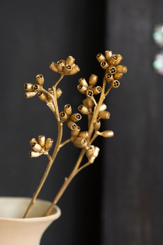 Close-up image of the Gorgeous Gold Dried Mini Seed Pods on a dark background
