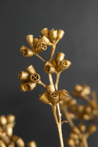 detail image of the Gorgeous Gold Dried Mini Seed Pods on a dark background