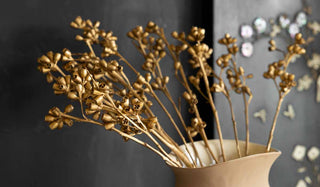 Landscape image of the Gorgeous Gold Dried Mini Seed Pods on a dark background