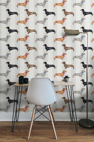 Lifestyle image of the Graduate Collection Dachshund Stripe Wallpaper