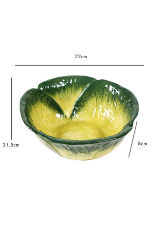 Dimension image of the Green Cabbage Bowl