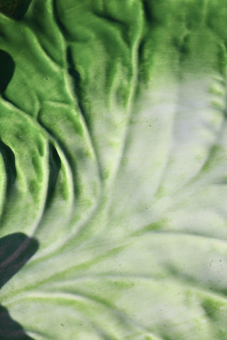 Close-up image of the Green Cabbage Leaf Plate