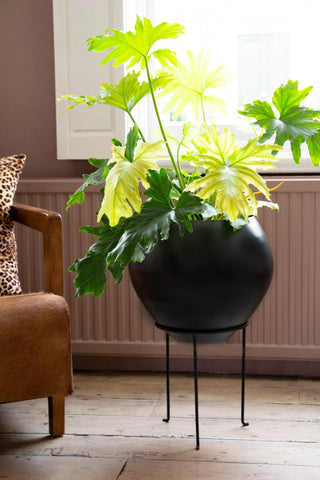 Lifestyle image of iron planter on its stand with brown leather chair and pale flooring with window in background