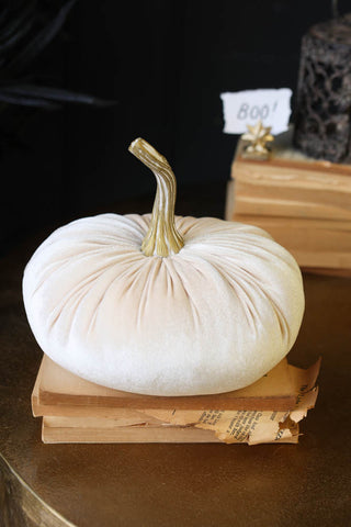 Lifestyle image of the Ivory White Velvet Pumpkin