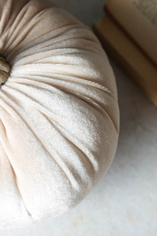 Close-up image of the Ivory White Velvet Pumpkin