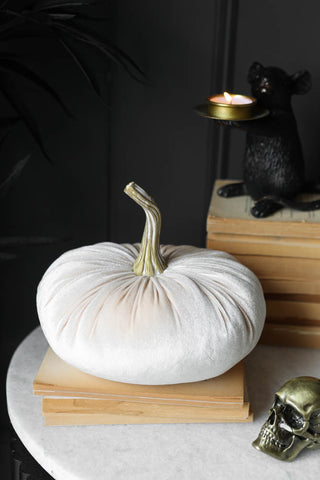 Image of the Ivory White Velvet Pumpkin