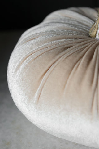 Detail image of the Ivory White Velvet Pumpkin
