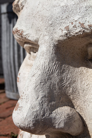 Close-up image of the nose on the Large Rustic Stone Effect Classical Face Planter