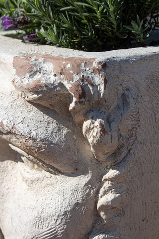 Close-up image of the Large Rustic Stone Effect Classical Face Planter
