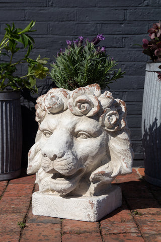 Front on lifestyle image of the Large Rustic Stone Effect Lion Head Planter