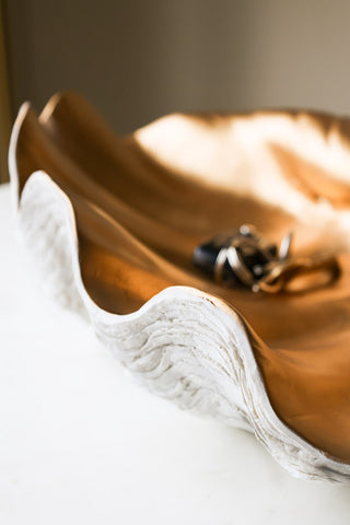 Image of the shape of the Large White & Gold Clam Shell Display Dish
