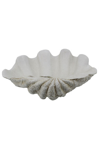 Image of the Large White Resin Clam Shell Display Dish on white background