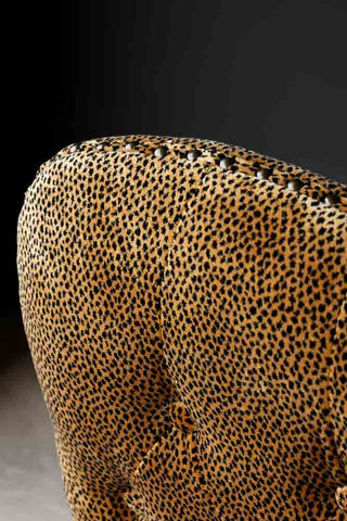 Image of the material for the Leopard Print Button Back Velvet Armchair