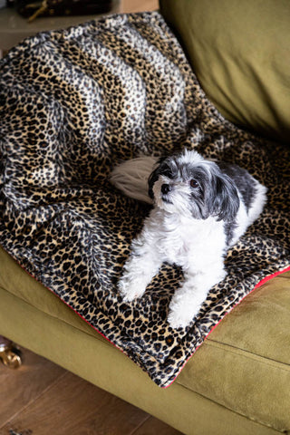 Detail image of the Leopard Print Pet Padded Blanket