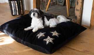 Leopard Stars Dog Bed - 3 Available Sizes
