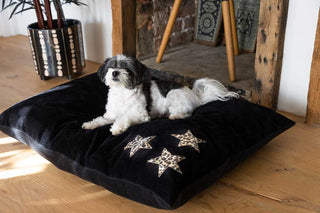Landscape image of the Leopard Stars Dog Bed - 3 Available Sizes