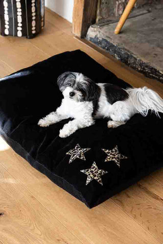 Lifestyle image of the Leopard Stars Dog Bed - 3 Available Sizes