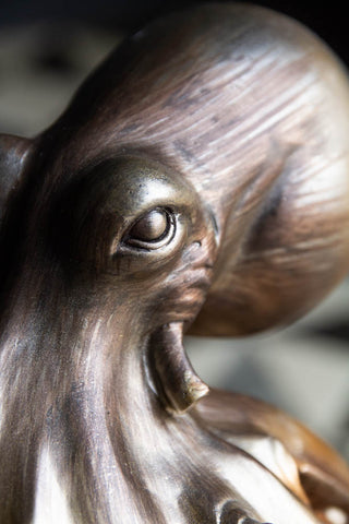 Image of the head on the Octopus Table Lamp