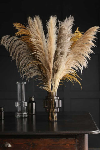 Lifestyle image of a mix of our pampas grass including the Cream Pampas Stem