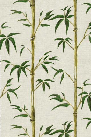 Close-up image of the Poodle & Blonde Money Tree Bamboo Wallpaper
