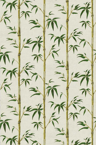 Image of the Poodle & Blonde Money Tree Bamboo Wallpaper