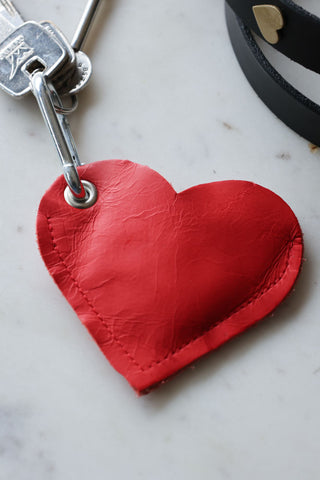 Close-up image of the Red Heart Dog Poo Bag Pouch