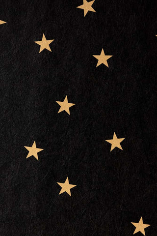 Closeup image of the Rockett St George Falling Stars Black Mural