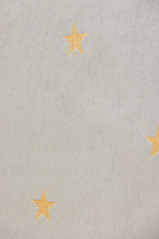 Close-up image of the Rockett St George Falling Stars Cream Mural