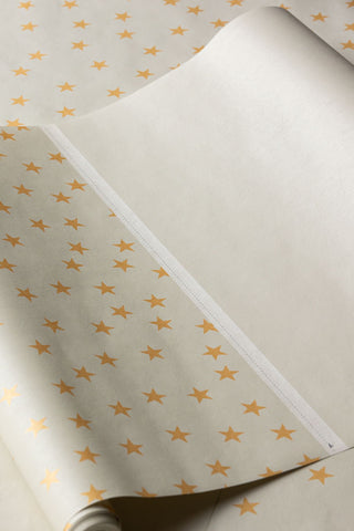 Image of the pattern for the Rockett St George Falling Stars Cream Mural