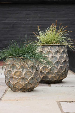 Image of the Set Of 2 Petal Effect Planters
