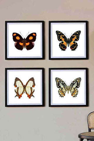 Image of the Set of 4 Beautiful Butterfly Art Prints - Framed