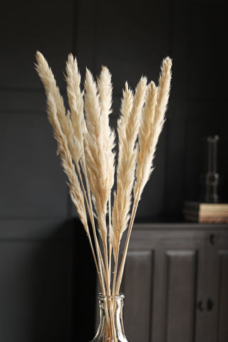Close-up lifestyle image of the Short Natural Pampas Bunch