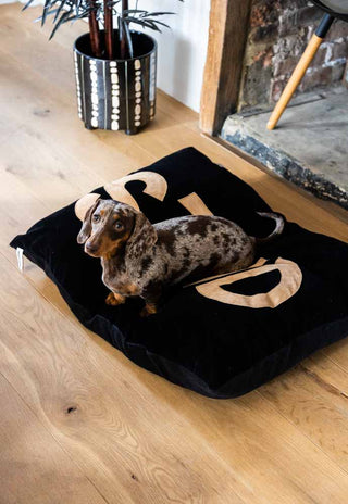 Detail image of the Stud Dog Bed - 3 Available Sizes