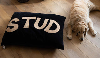 Stud Dog Bed - 3 Available Sizes