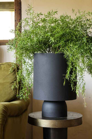 Lifestyle image of the Textured Iron Black Planter With Narrow Stand