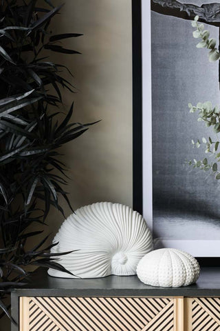 Image of the White Faux Sea Snail Ornament in a living room setting
