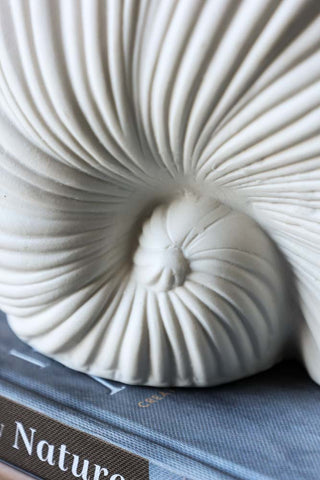 Detail image of the White Faux Sea Snail Ornament