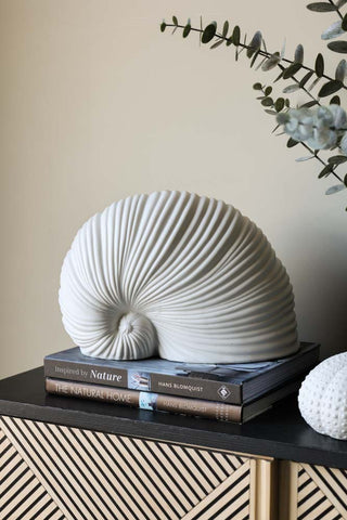 Lifestyle image of the White Faux Sea Snail Ornament