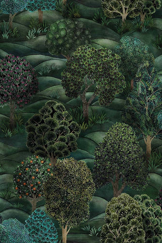 Cole & Son Botanical Botanica - Forest Wallpaper
