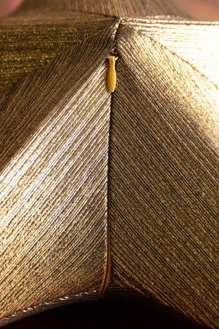 Image of the invisible zip on the Gold Metallic Star