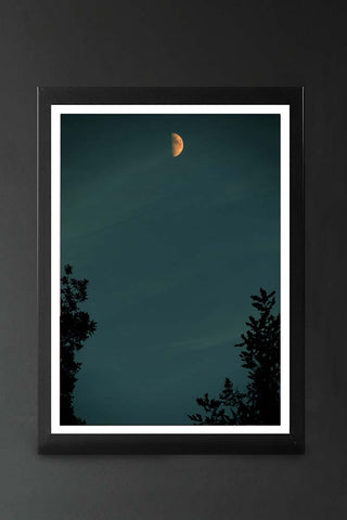 lifestyle image of unframed reaching art print by lordt small moon in blue sky with tree silhouettes in black frame on dark wall background