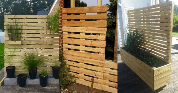 Wooden pallet screen for garden