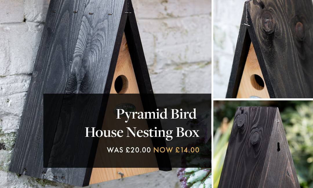 images of pyramid wooden bird box for the garden
